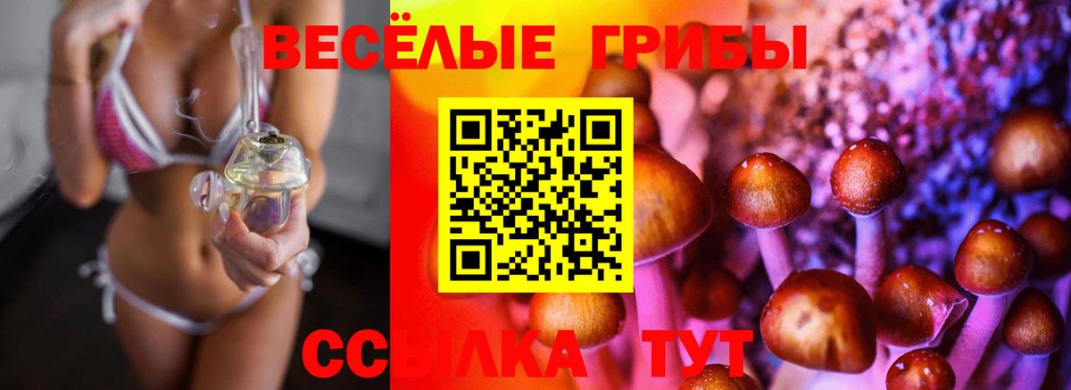 Советск  Псилоцибиновые грибы мухоморы  продажа наркотиков  Вход с VPN  Галлюциногенные грибы мицелий 